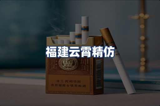 福建云霄精仿